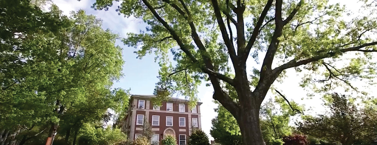 Adelphi University building and trees