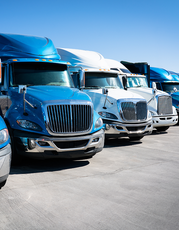 Blue and white trucks in a row