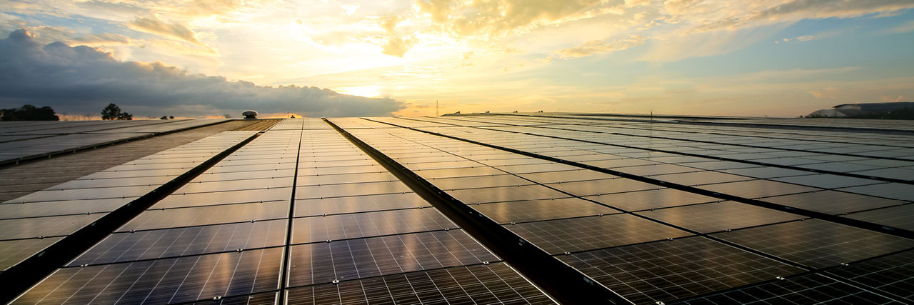 solar panels in field