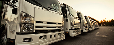 White fleet trucks in a row